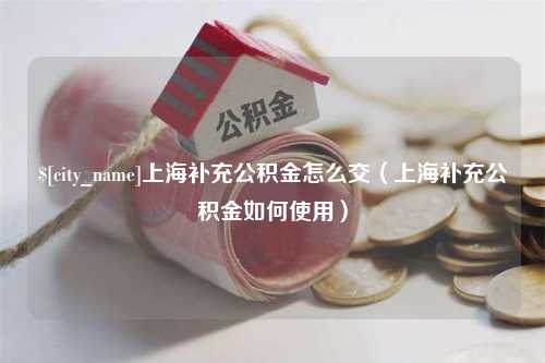 南京上海补充公积金怎么交（上海补充公积金如何使用）